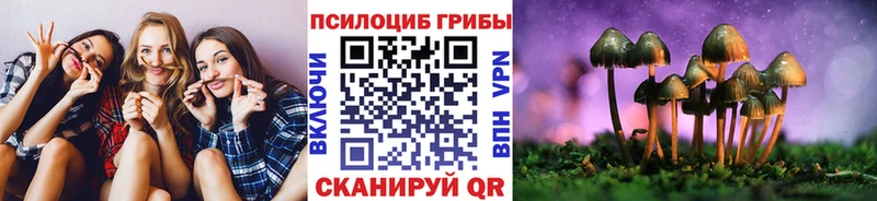 Купить закладки  Аркадак  Псилоцибиновые грибы мицелий 
